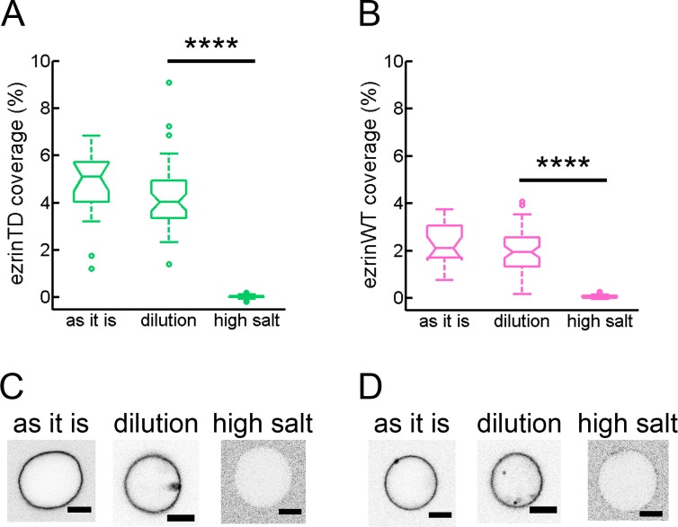 Figure 4—figure supplement 1.