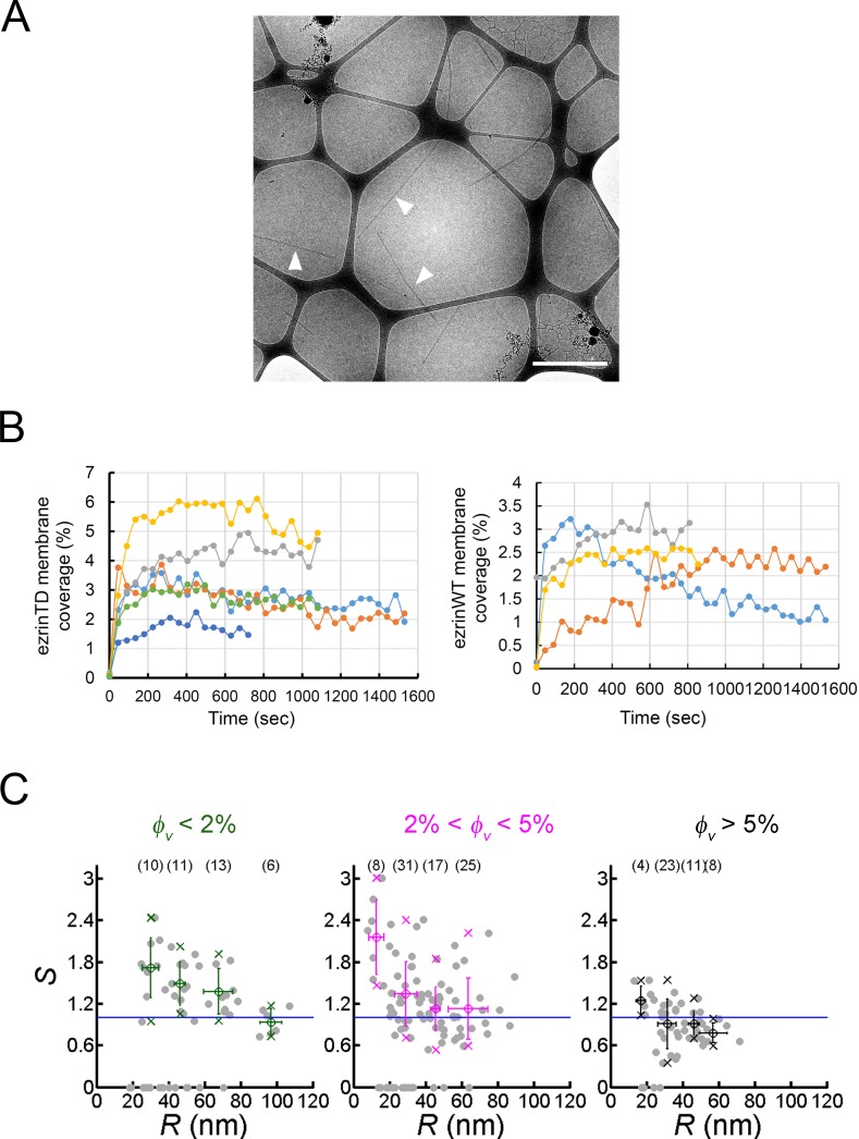 Figure 3—figure supplement 1.