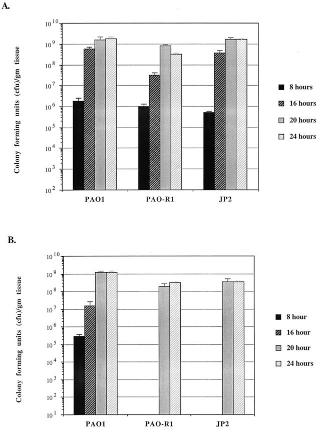 FIG. 3