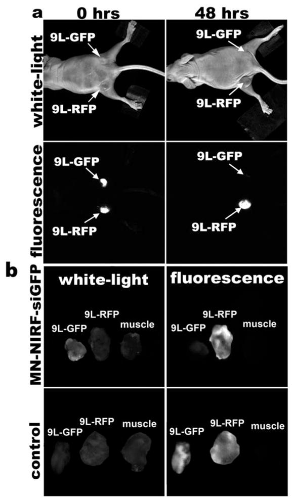 Fig. 1.3