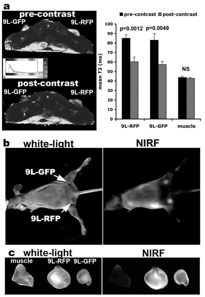 Fig. 1.2