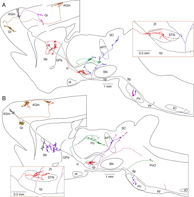 Figure 3.