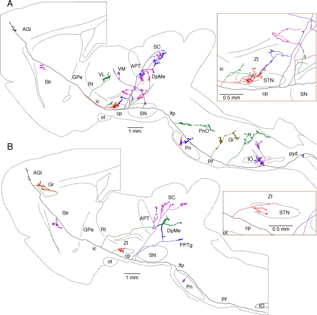 Figure 2.