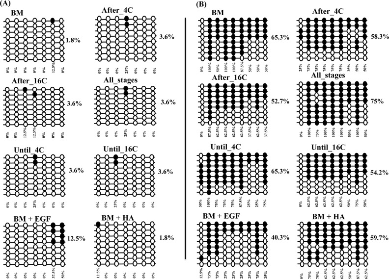 Fig 10