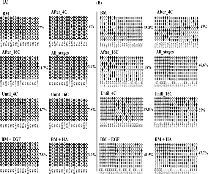 Fig 11