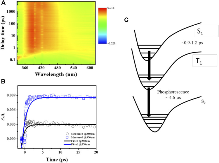 FIGURE 3