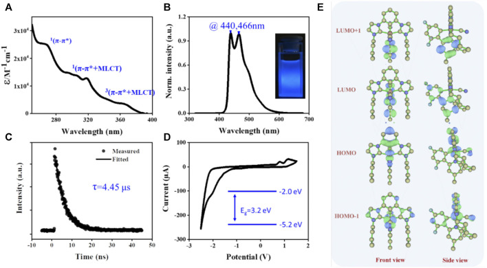 FIGURE 2