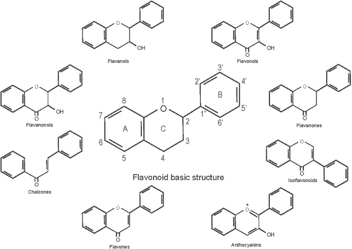 FIGURE 1