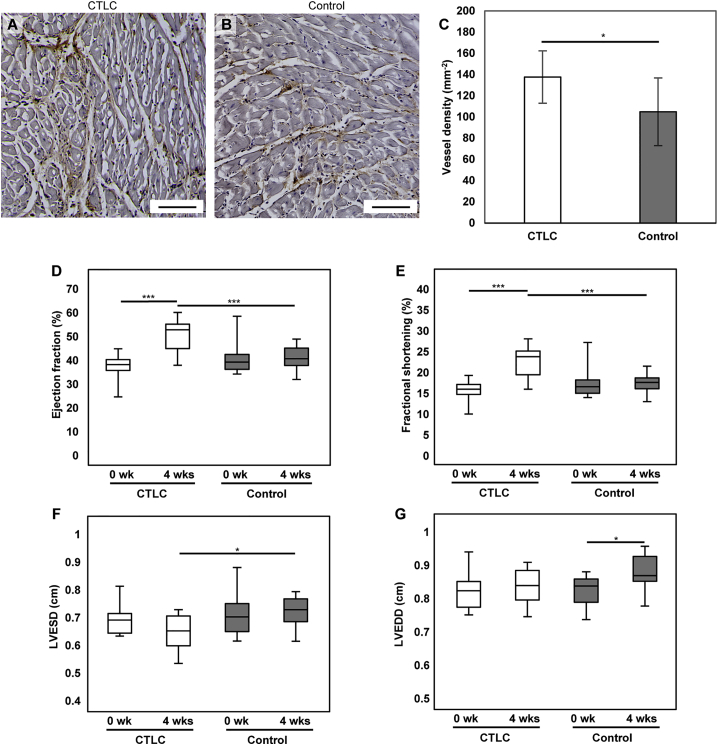 Figure 6