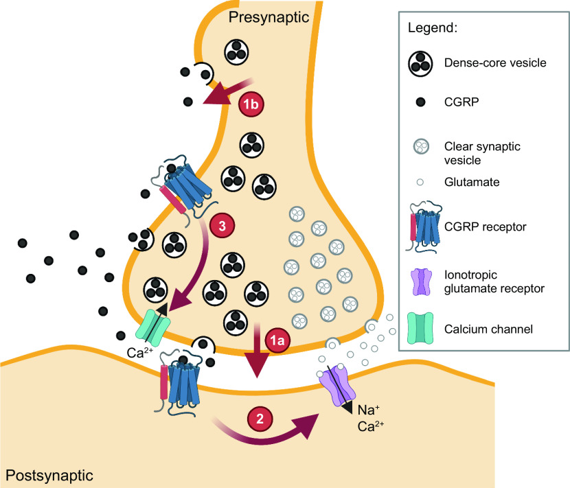 Figure 10.