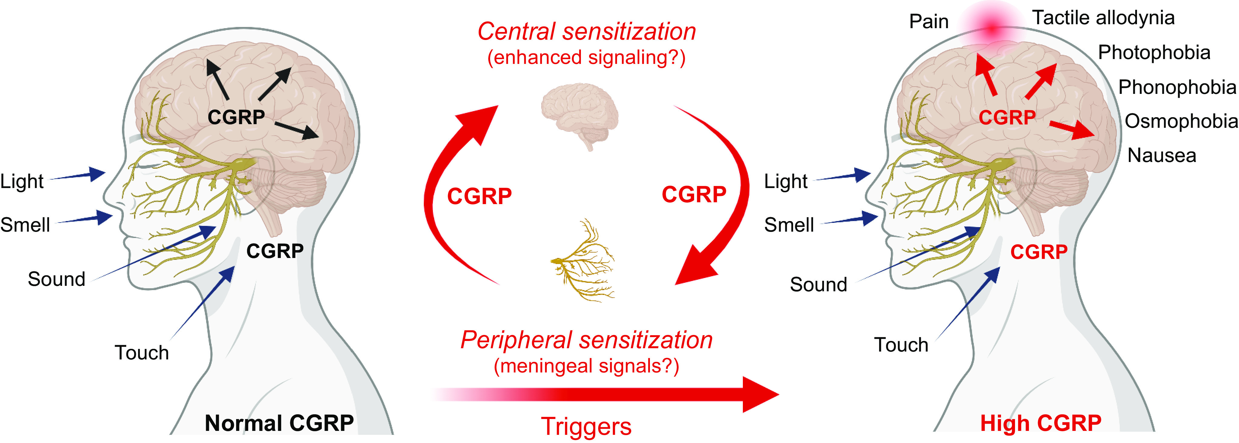 Figure 15.