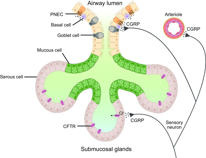 Figure 12.