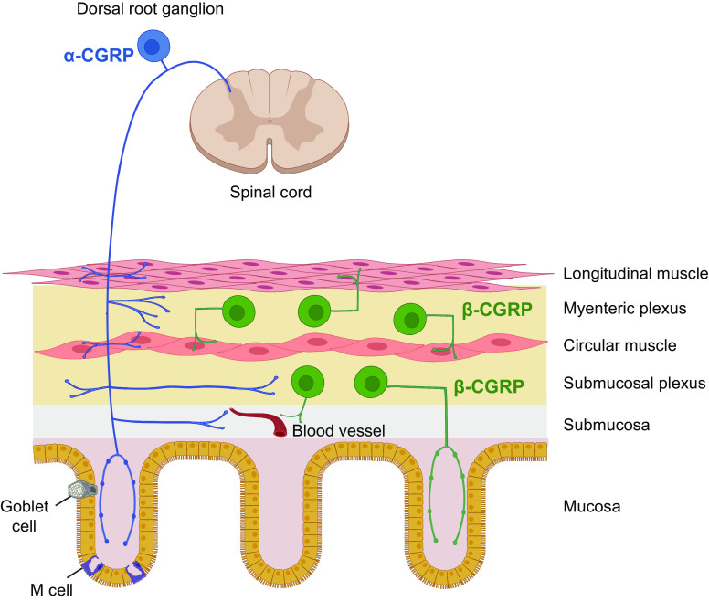 Figure 13.