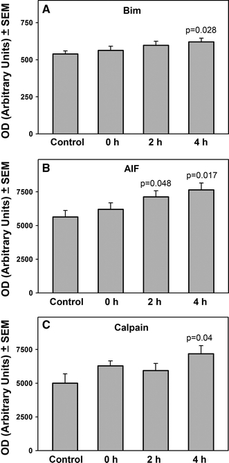 Fig. 3