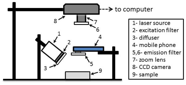 Fig. 1