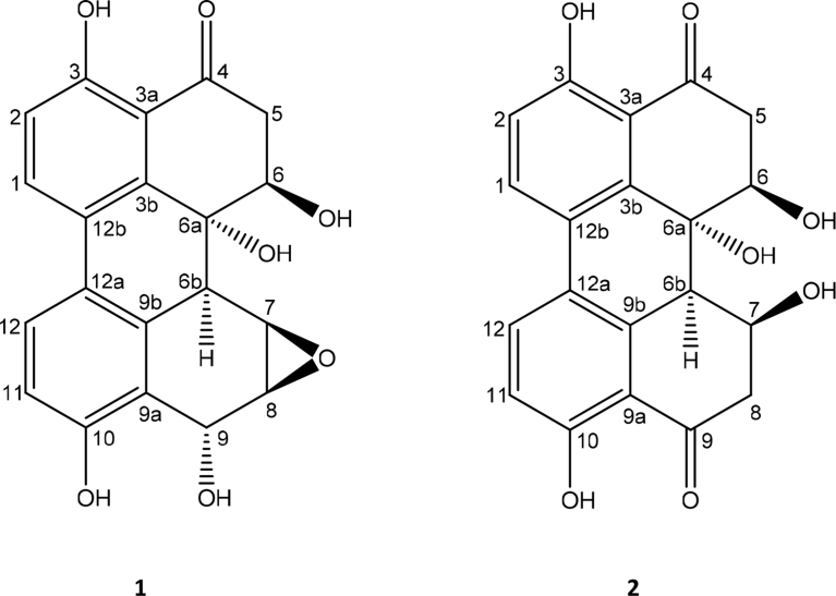 Fig. 1