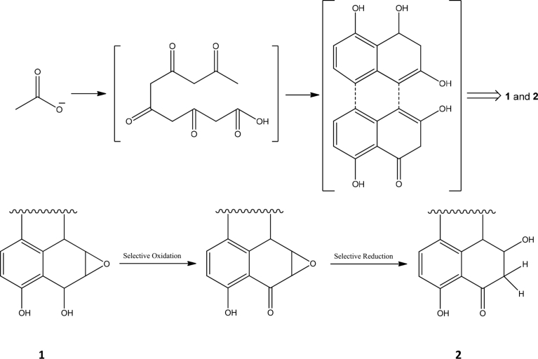 Fig. 3