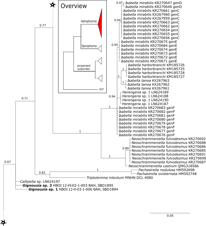 Figure 10