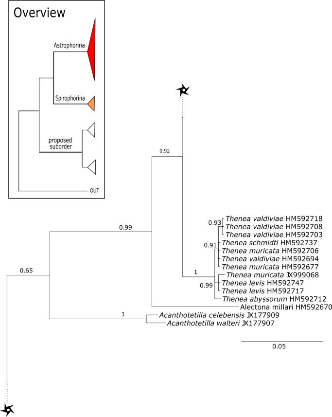 Figure 14