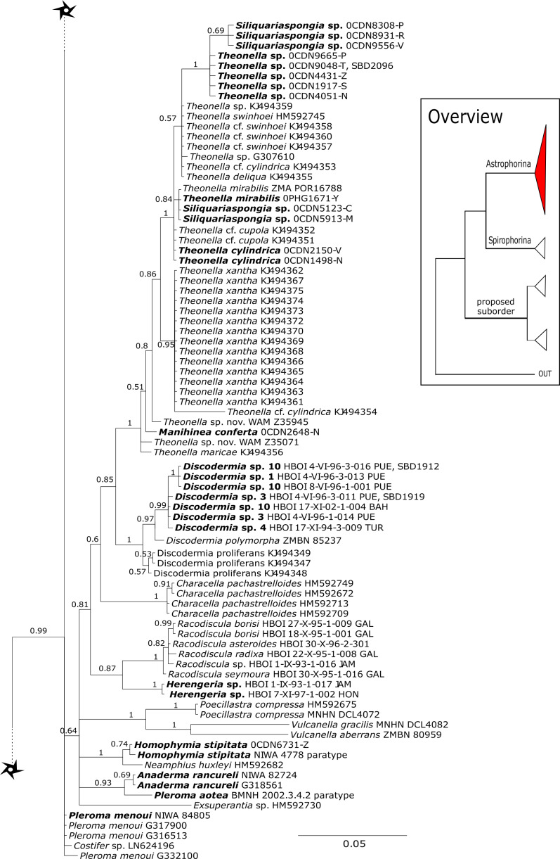 Figure 13