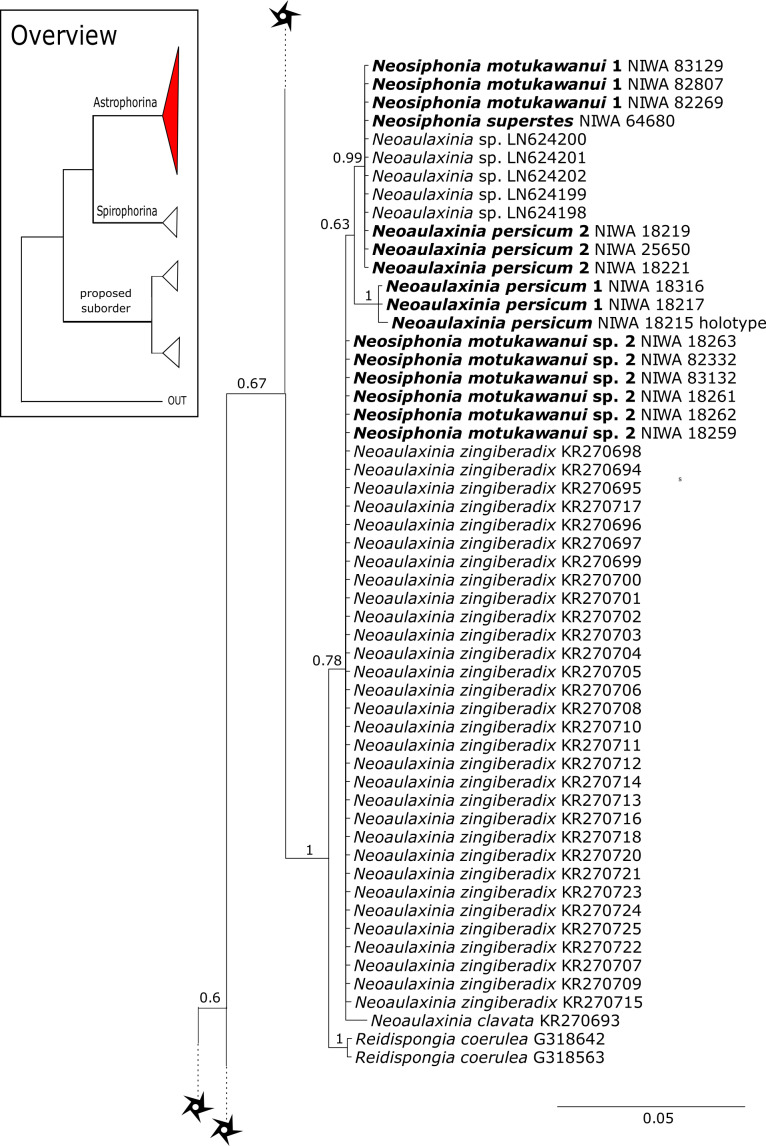 Figure 11