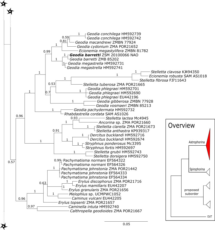 Figure 12