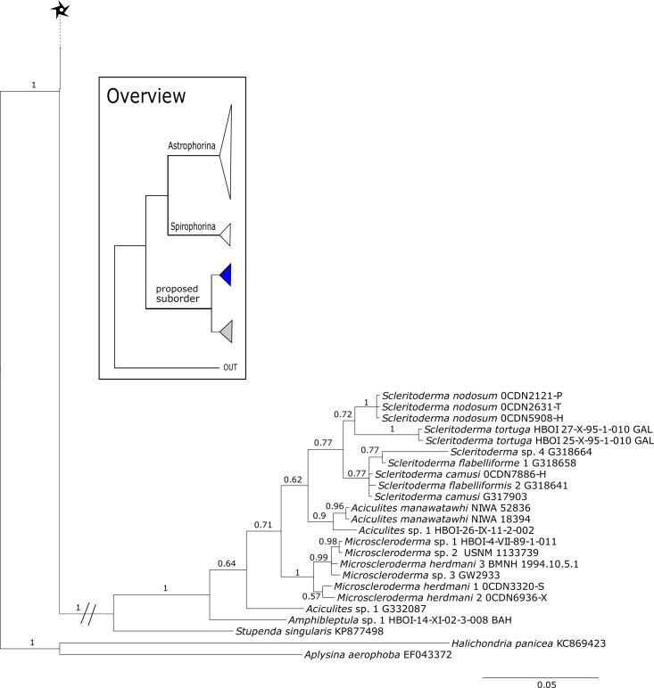 Figure 16