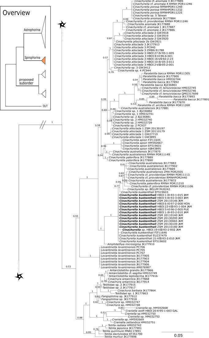 Figure 15