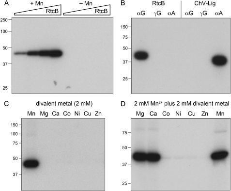 FIGURE 9.