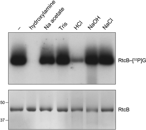 FIGURE 10.