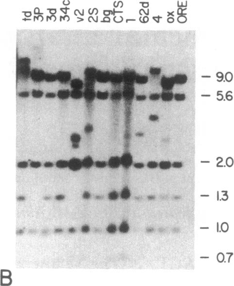 graphic file with name pnas00361-0223-a.jpg