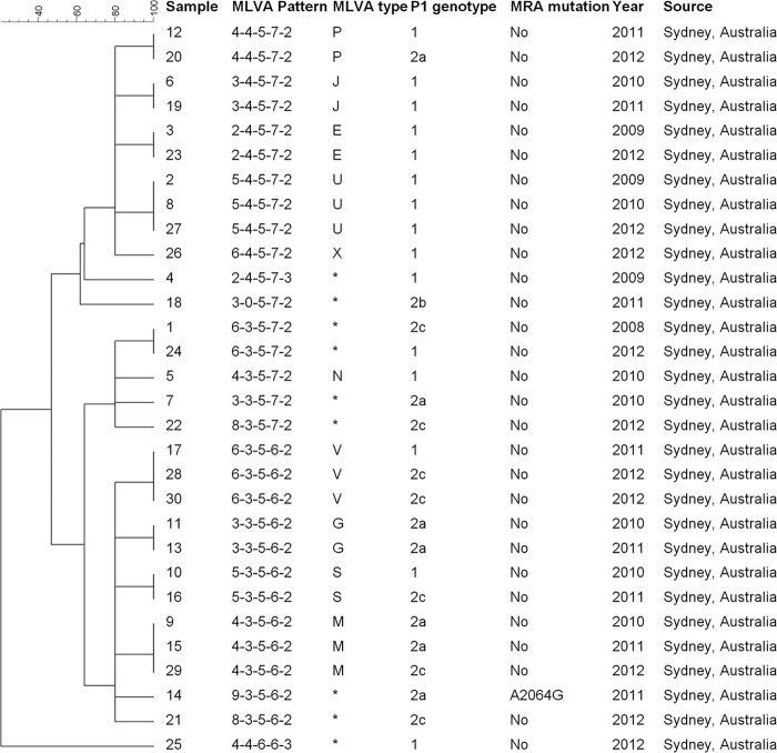 FIG 1