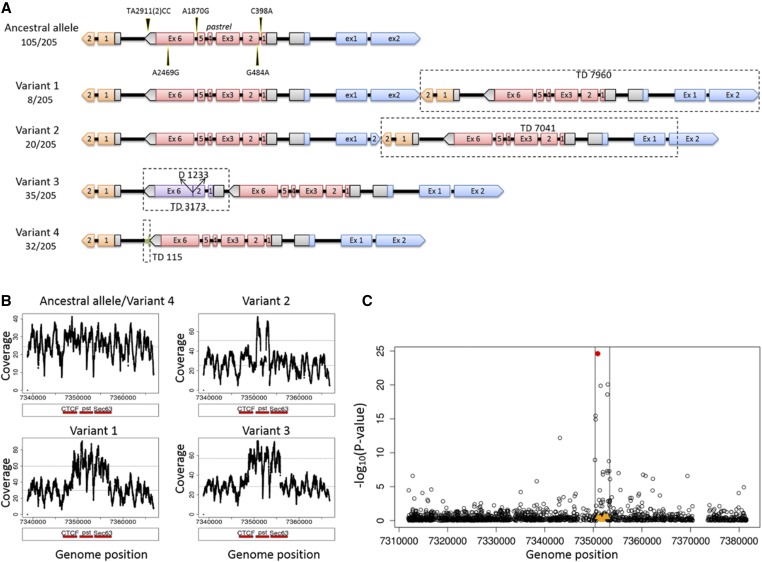 Figure 4