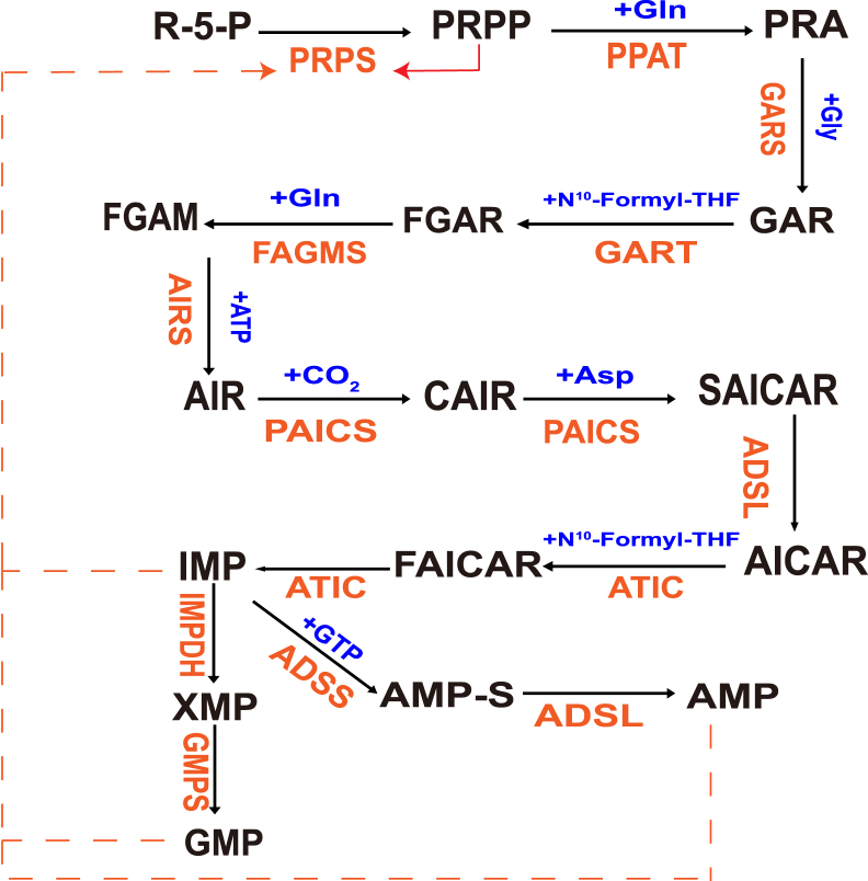 Fig. 1