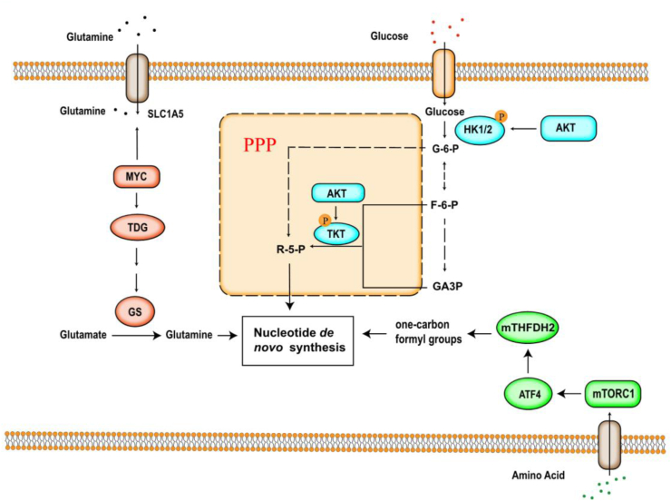 Fig. 3