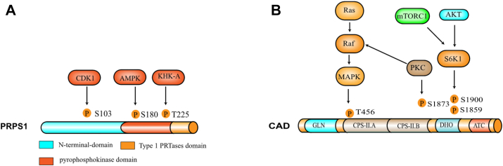 Fig. 4