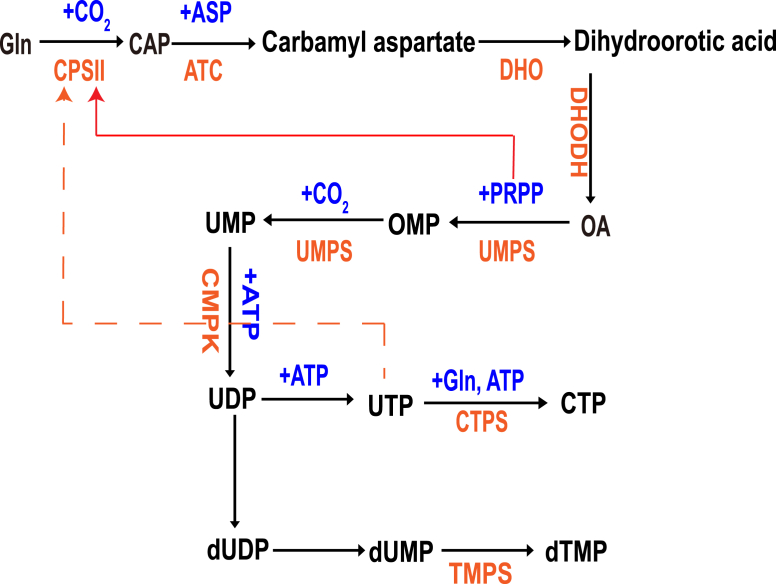 Fig. 2