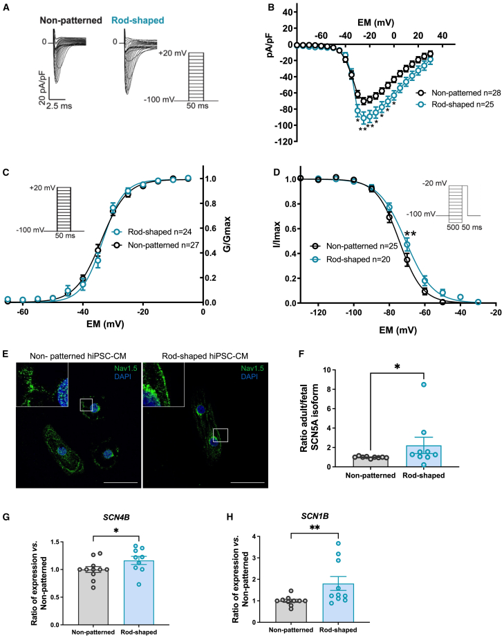 Figure 4