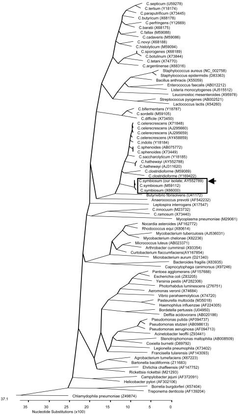 FIG. 1.