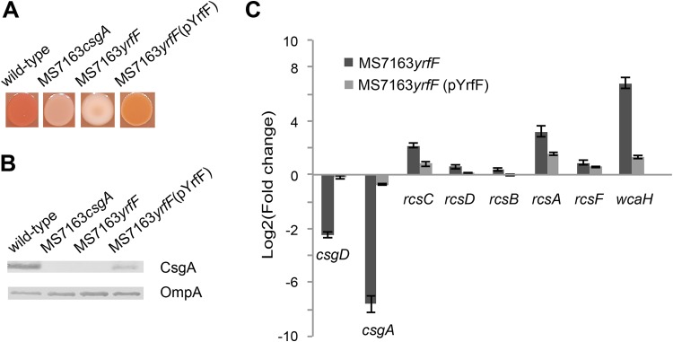 FIG 4 