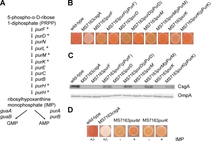 FIG 3 