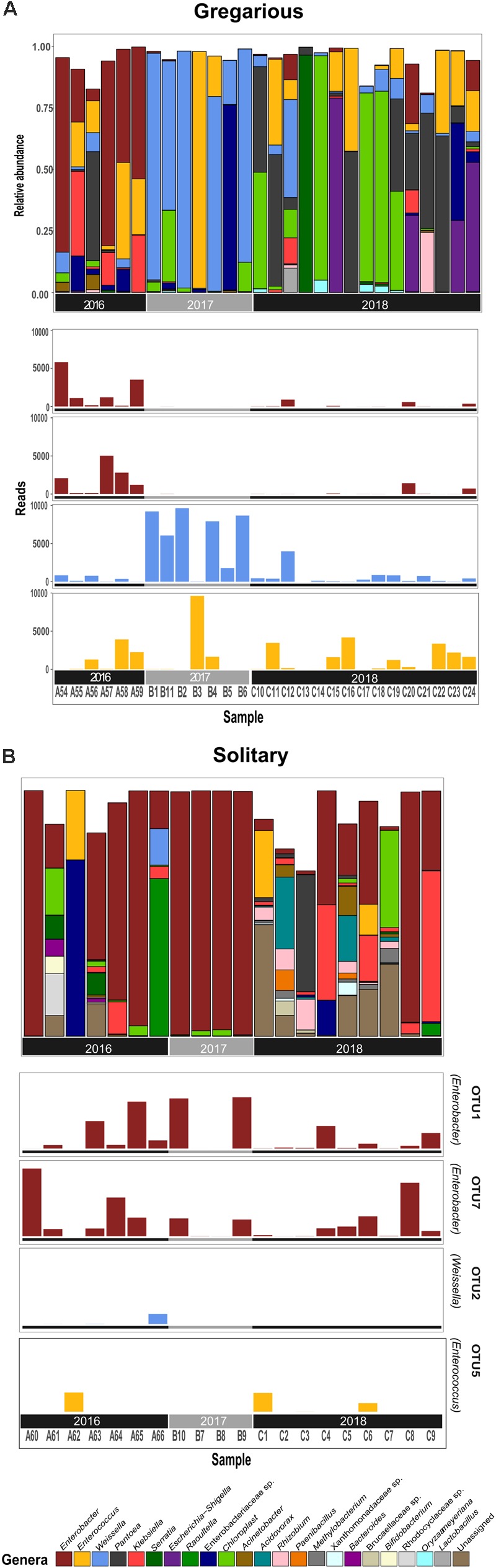 FIGURE 3