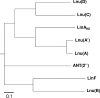 FIG. 2.