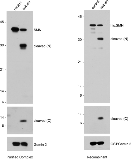 Figure 6.