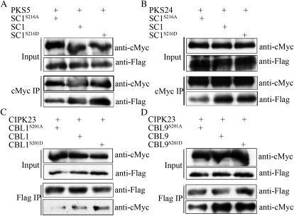 Figure 6.