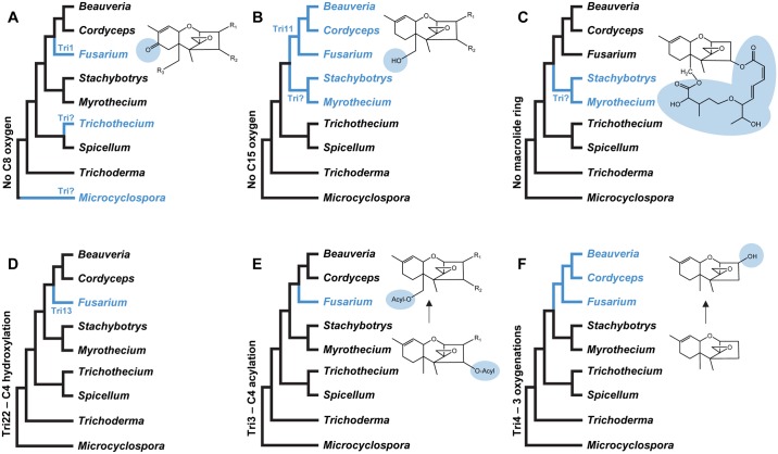 Fig 10