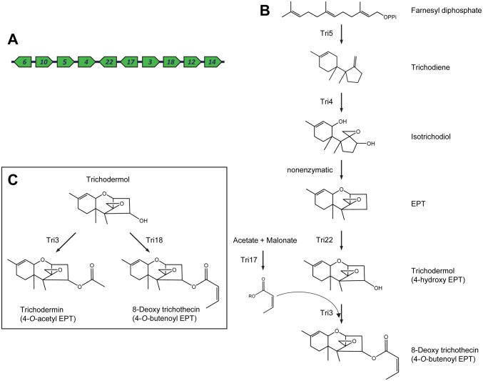 Fig 12