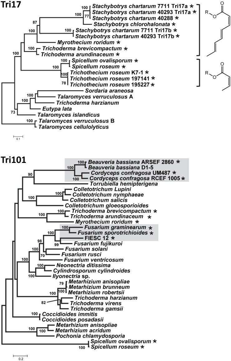 Fig 8