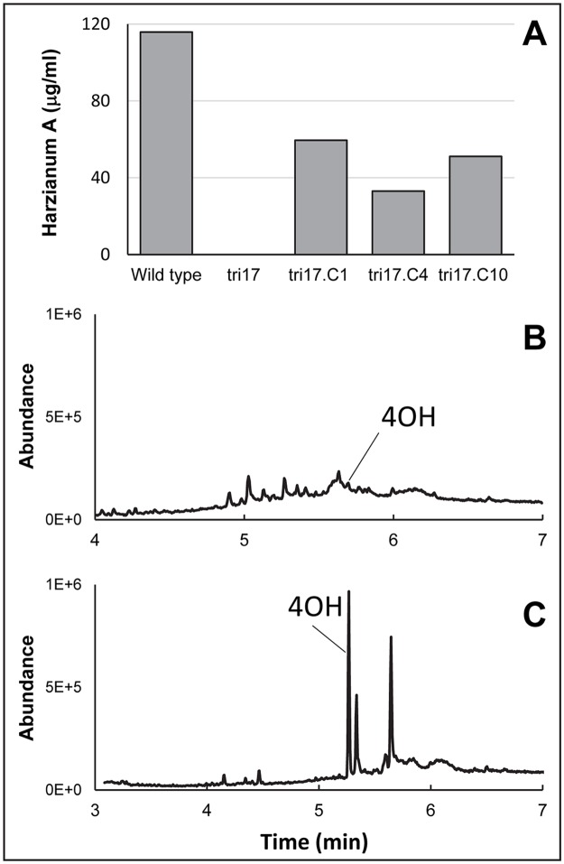 Fig 5