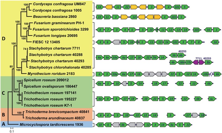 Fig 3